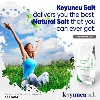 Gallery Koyuncu Salt