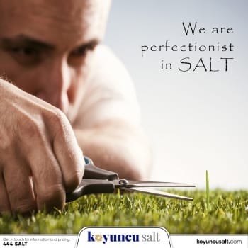 Gallery Koyuncu Salt